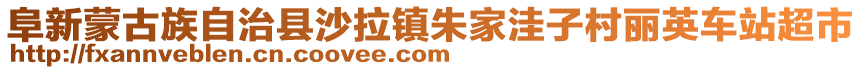 阜新蒙古族自治縣沙拉鎮(zhèn)朱家洼子村麗英車站超市