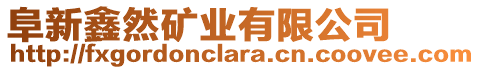 阜新鑫然礦業(yè)有限公司