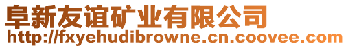 阜新友誼礦業(yè)有限公司