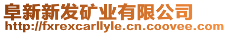 阜新新發(fā)礦業(yè)有限公司