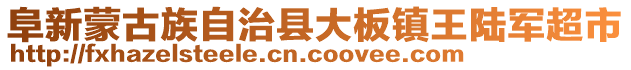 阜新蒙古族自治縣大板鎮(zhèn)王陸軍超市