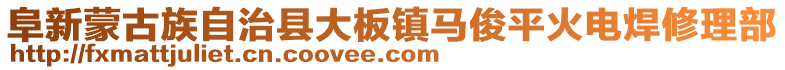 阜新蒙古族自治縣大板鎮(zhèn)馬俊平火電焊修理部