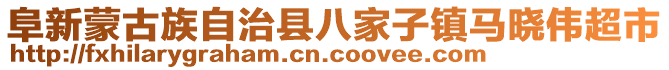 阜新蒙古族自治县八家子镇马晓伟超市