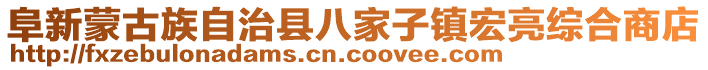 阜新蒙古族自治縣八家子鎮(zhèn)宏亮綜合商店