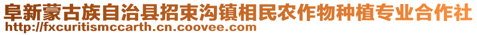 阜新蒙古族自治縣招束溝鎮(zhèn)相民農(nóng)作物種植專業(yè)合作社