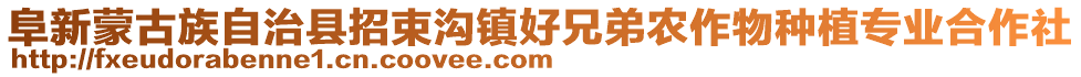 阜新蒙古族自治縣招束溝鎮(zhèn)好兄弟農(nóng)作物種植專業(yè)合作社