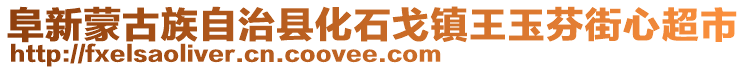 阜新蒙古族自治縣化石戈鎮王玉芬街心超市