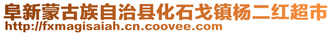 阜新蒙古族自治縣化石戈鎮(zhèn)楊二紅超市