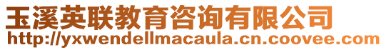 玉溪英聯(lián)教育咨詢有限公司