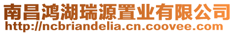 南昌鴻湖瑞源置業有限公司
