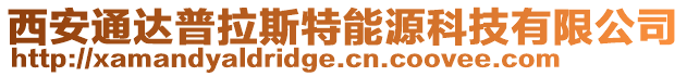 西安通達普拉斯特能源科技有限公司