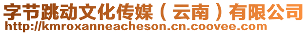 字節(jié)跳動文化傳媒（云南）有限公司