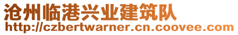 滄州臨港興業建筑隊