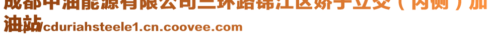 成都中油能源有限公司三環路錦江區嬌子立交(內側)加
油站