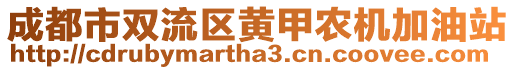 成都市雙流區黃甲農機加油站