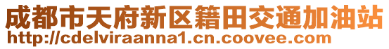 成都市天府新區(qū)籍田交通加油站