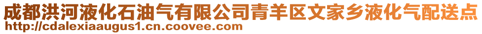 成都洪河液化石油氣有限公司青羊區(qū)文家鄉(xiāng)液化氣配送點