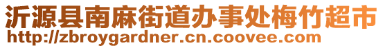 沂源县南麻街道办事处梅竹超市