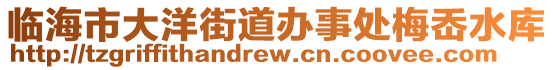 臨海市大洋街道辦事處梅岙水庫