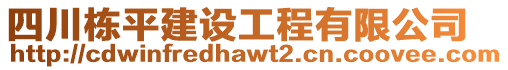四川棟平建設工程有限公司
