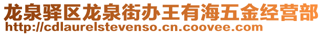 龍泉驛區(qū)龍泉街辦王有海五金經(jīng)營部