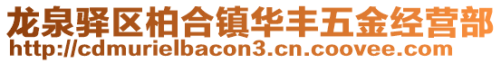 龍泉驛區(qū)柏合鎮(zhèn)華豐五金經(jīng)營部