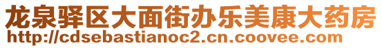 龍泉驛區(qū)大面街辦樂美康大藥房