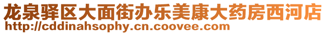 龍泉驛區大面街辦樂美康大藥房西河店