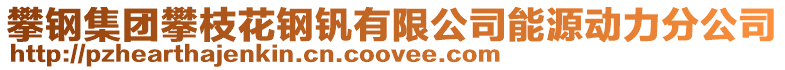 攀钢集团攀枝花钢钒有限公司能源动力分公司