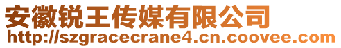 安徽銳王傳媒有限公司