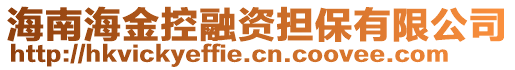 海南海金控融資擔(dān)保有限公司