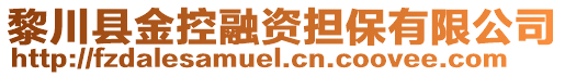 黎川县金控融资担保有限公司