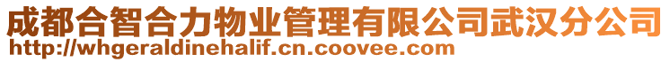 成都合智合力物業(yè)管理有限公司武漢分公司