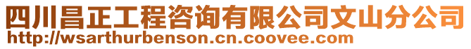 四川昌正工程咨詢有限公司文山分公司