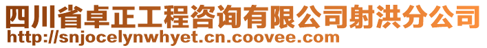 四川省卓正工程咨詢有限公司射洪分公司