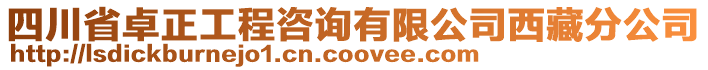 四川省卓正工程咨詢有限公司西藏分公司