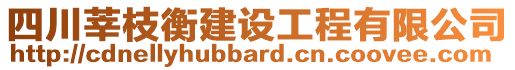 四川莘枝衡建設工程有限公司