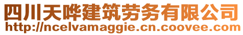 四川天嘩建筑勞務有限公司