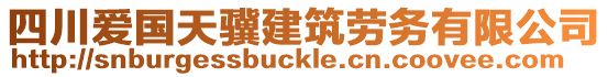 四川愛國(guó)天驥建筑勞務(wù)有限公司