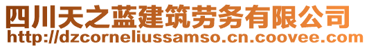 四川天之藍建筑勞務有限公司