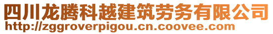 四川龍騰科越建筑勞務有限公司