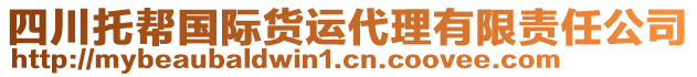 四川托幫國(guó)際貨運(yùn)代理有限責(zé)任公司