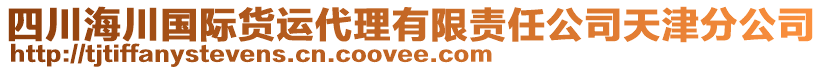 四川海川國際貨運代理有限責任公司天津分公司