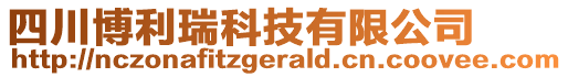 四川博利瑞科技有限公司