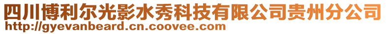 四川博利爾光影水秀科技有限公司貴州分公司