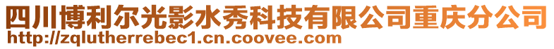 四川博利爾光影水秀科技有限公司重慶分公司