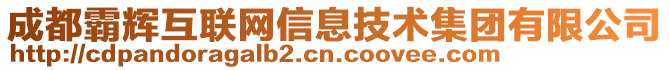 成都霸輝互聯(lián)網信息技術集團有限公司