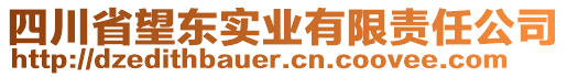 四川省望東實業(yè)有限責任公司