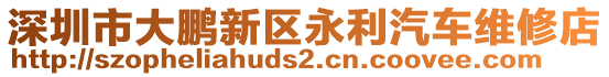 深圳市大鵬新區(qū)永利汽車維修店