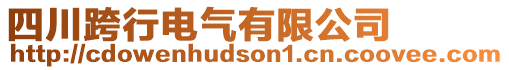 四川跨行電氣有限公司